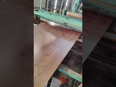 Printech Kleurcoating spoel